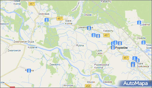 mapa Rybna gmina Popielów, Rybna gmina Popielów na mapie Targeo