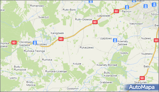 mapa Rykaczewo gmina Ciechanów, Rykaczewo gmina Ciechanów na mapie Targeo