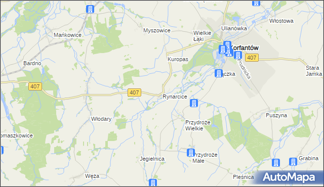 mapa Rynarcice gmina Korfantów, Rynarcice gmina Korfantów na mapie Targeo