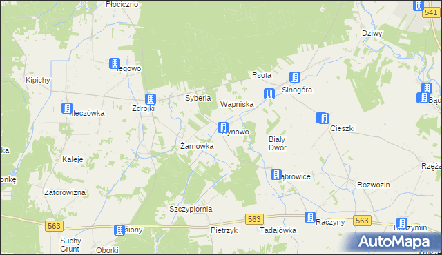mapa Rynowo gmina Lubowidz, Rynowo gmina Lubowidz na mapie Targeo