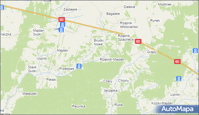 mapa Rząśnik-Majdan, Rząśnik-Majdan na mapie Targeo