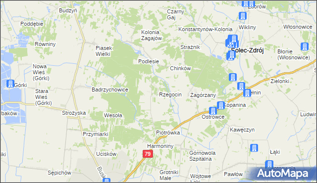 mapa Rzegocin gmina Nowy Korczyn, Rzegocin gmina Nowy Korczyn na mapie Targeo