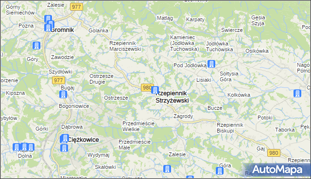 mapa Rzepiennik Strzyżewski, Rzepiennik Strzyżewski na mapie Targeo