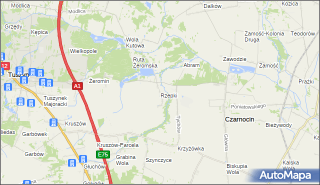 mapa Rzepki gmina Czarnocin, Rzepki gmina Czarnocin na mapie Targeo