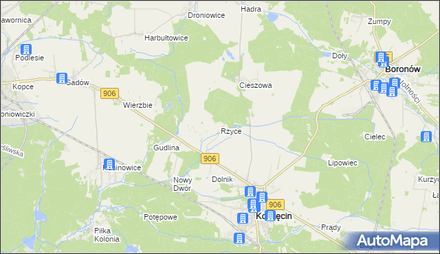 mapa Rzyce, Rzyce na mapie Targeo