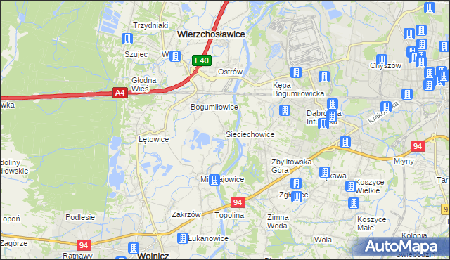mapa Sieciechowice gmina Wierzchosławice, Sieciechowice gmina Wierzchosławice na mapie Targeo