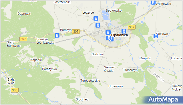 mapa Sielinko, Sielinko na mapie Targeo