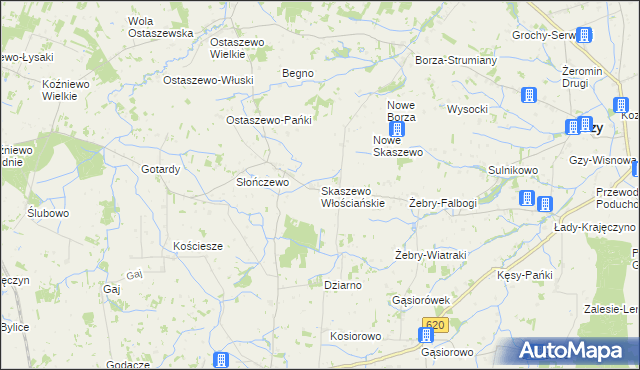 mapa Skaszewo Włościańskie, Skaszewo Włościańskie na mapie Targeo