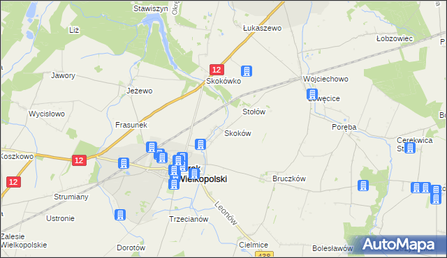 mapa Skoków gmina Borek Wielkopolski, Skoków gmina Borek Wielkopolski na mapie Targeo