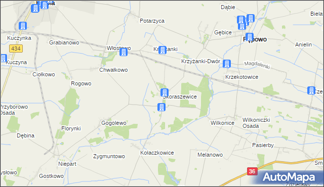 mapa Skoraszewice, Skoraszewice na mapie Targeo