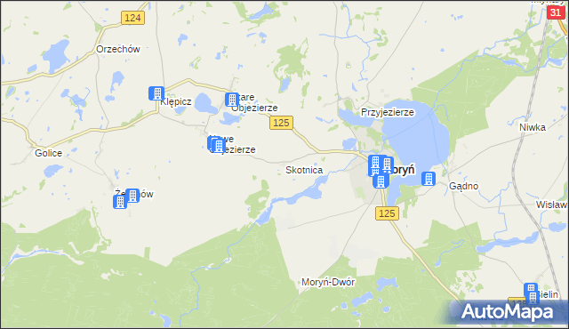 mapa Skotnica gmina Moryń, Skotnica gmina Moryń na mapie Targeo