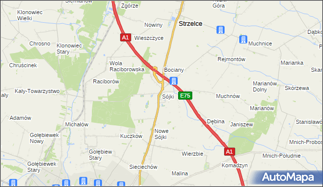 mapa Sójki gmina Strzelce, Sójki gmina Strzelce na mapie Targeo