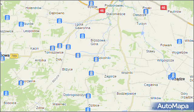 mapa Sokolniki gmina Niegowa, Sokolniki gmina Niegowa na mapie Targeo