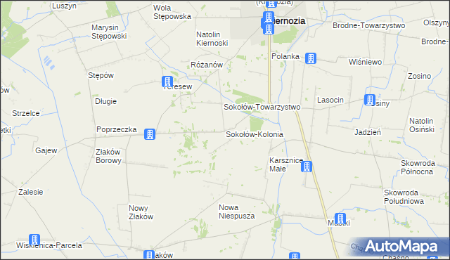 mapa Sokołów-Kolonia, Sokołów-Kolonia na mapie Targeo