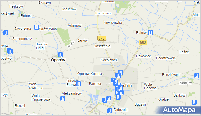 mapa Sokołówek gmina Żychlin, Sokołówek gmina Żychlin na mapie Targeo