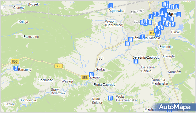 mapa Sól gmina Biłgoraj, Sól gmina Biłgoraj na mapie Targeo