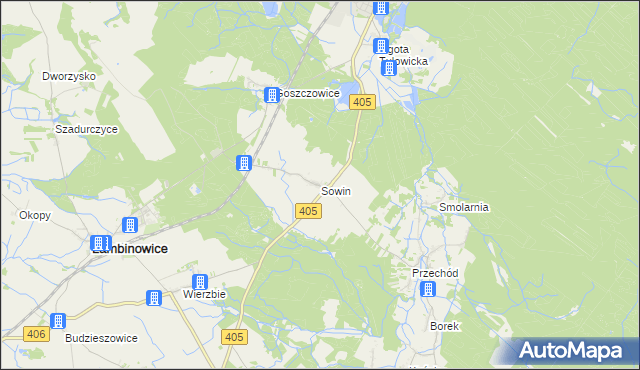 mapa Sowin gmina Łambinowice, Sowin gmina Łambinowice na mapie Targeo