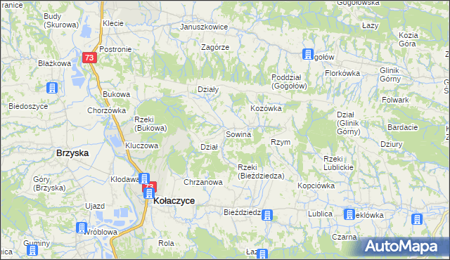 mapa Sowina gmina Kołaczyce, Sowina gmina Kołaczyce na mapie Targeo