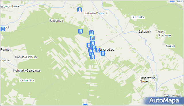 mapa Stegna gmina Jednorożec, Stegna gmina Jednorożec na mapie Targeo