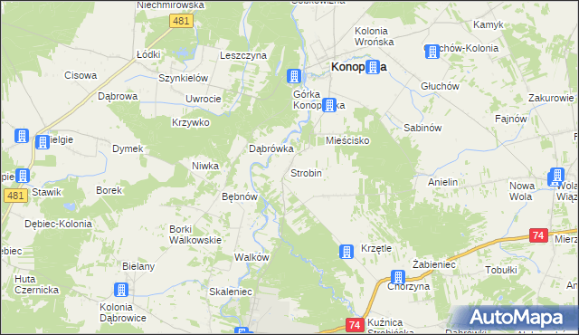 mapa Strobin, Strobin na mapie Targeo