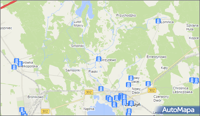 mapa Strzyżewo gmina Zbąszyń, Strzyżewo gmina Zbąszyń na mapie Targeo