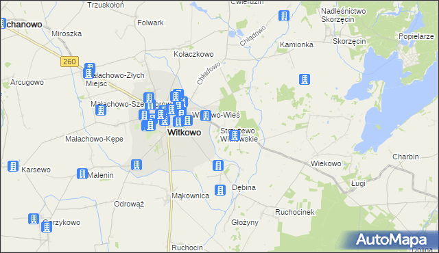 mapa Strzyżewo Witkowskie, Strzyżewo Witkowskie na mapie Targeo