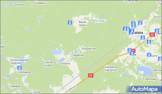 mapa Studzienice gmina Kaliska, Studzienice gmina Kaliska na mapie Targeo