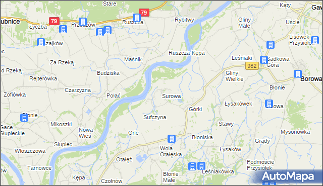 mapa Surowa gmina Borowa, Surowa gmina Borowa na mapie Targeo