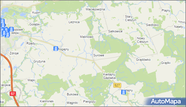 mapa Surowe gmina Pasłęk, Surowe gmina Pasłęk na mapie Targeo