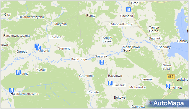 mapa Suszcza, Suszcza na mapie Targeo