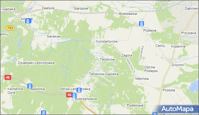 mapa Teodorów gmina Janów, Teodorów gmina Janów na mapie Targeo