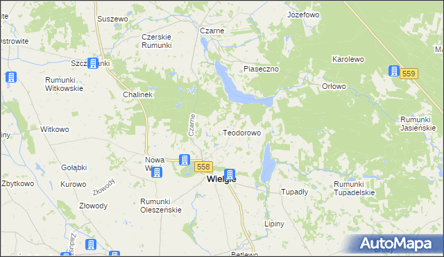 mapa Teodorowo gmina Wielgie, Teodorowo gmina Wielgie na mapie Targeo