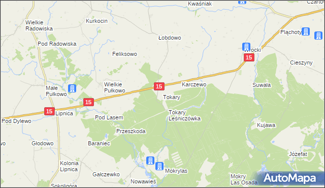 mapa Tokary gmina Golub-Dobrzyń, Tokary gmina Golub-Dobrzyń na mapie Targeo