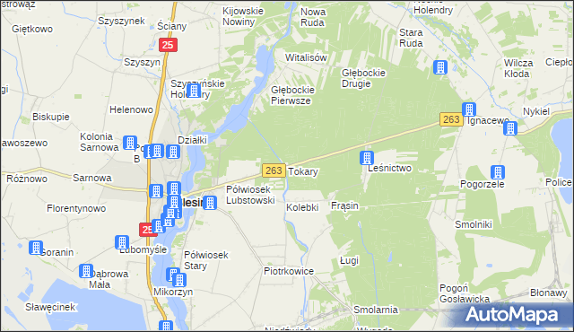 mapa Tokary gmina Ślesin, Tokary gmina Ślesin na mapie Targeo