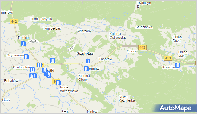 mapa Toporów gmina Gizałki, Toporów gmina Gizałki na mapie Targeo