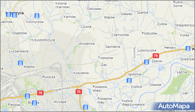 mapa Tropiszów, Tropiszów na mapie Targeo