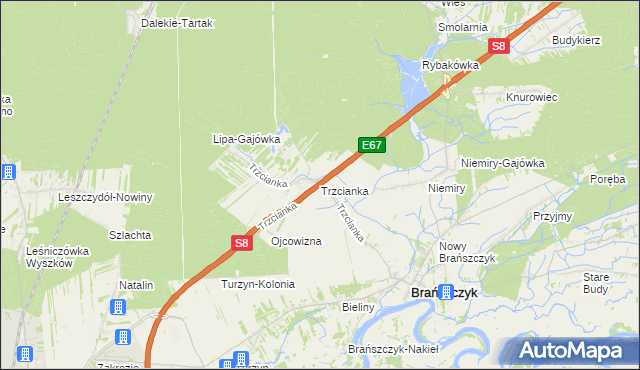 mapa Trzcianka gmina Brańszczyk, Trzcianka gmina Brańszczyk na mapie Targeo