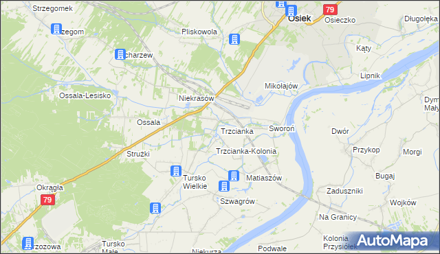 mapa Trzcianka gmina Osiek, Trzcianka gmina Osiek na mapie Targeo