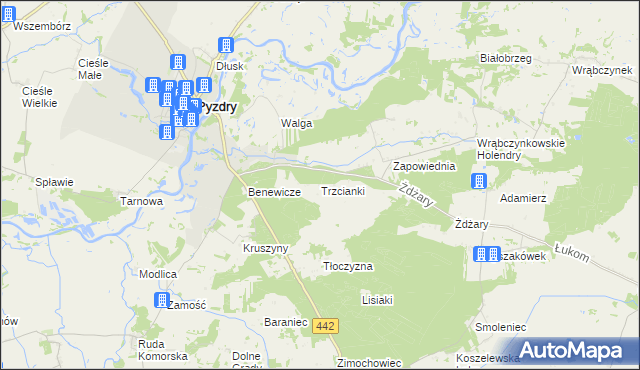 mapa Trzcianki gmina Pyzdry, Trzcianki gmina Pyzdry na mapie Targeo