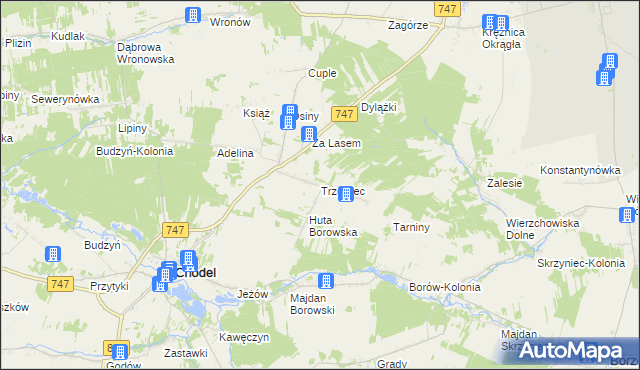 mapa Trzciniec gmina Chodel, Trzciniec gmina Chodel na mapie Targeo