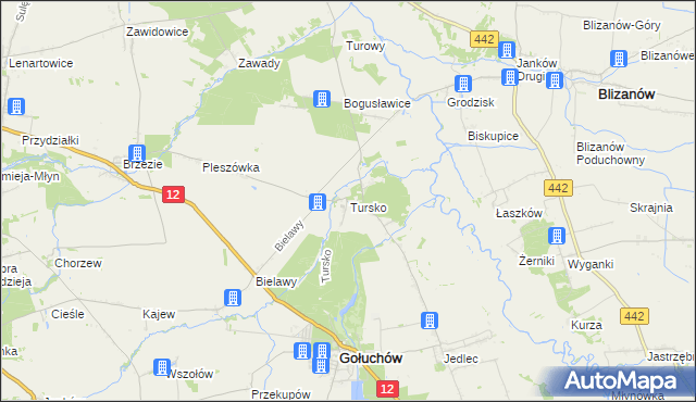 mapa Tursko gmina Gołuchów, Tursko gmina Gołuchów na mapie Targeo