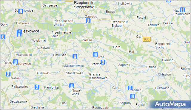 mapa Turza gmina Rzepiennik Strzyżewski, Turza gmina Rzepiennik Strzyżewski na mapie Targeo