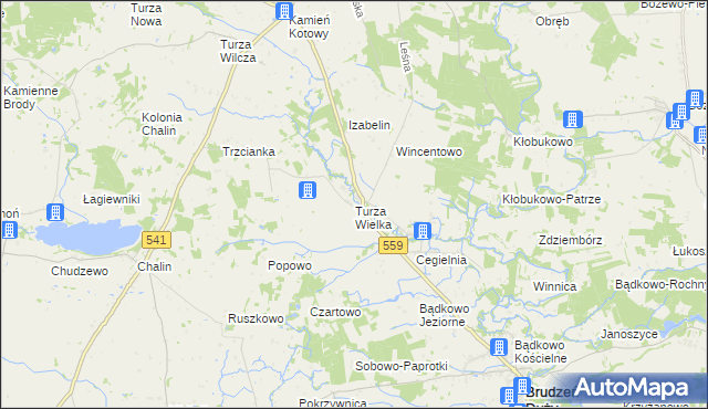 mapa Turza Wielka gmina Brudzeń Duży, Turza Wielka gmina Brudzeń Duży na mapie Targeo