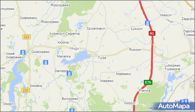 mapa Turze gmina Tczew, Turze gmina Tczew na mapie Targeo