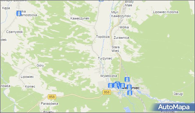 mapa Turzyniec gmina Zwierzyniec, Turzyniec gmina Zwierzyniec na mapie Targeo