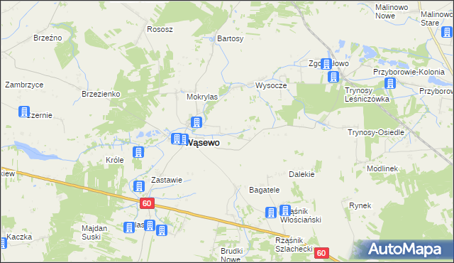 mapa Wąsewo-Kolonia, Wąsewo-Kolonia na mapie Targeo