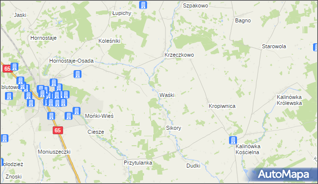 mapa Waśki gmina Mońki, Waśki gmina Mońki na mapie Targeo