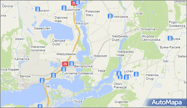 mapa Wąsosze gmina Ślesin, Wąsosze gmina Ślesin na mapie Targeo