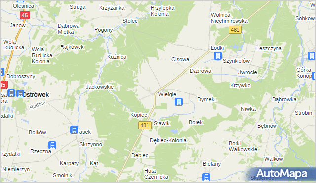 mapa Wielgie gmina Ostrówek, Wielgie gmina Ostrówek na mapie Targeo