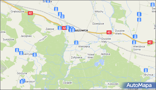 mapa Wielołęka gmina Domaszowice, Wielołęka gmina Domaszowice na mapie Targeo